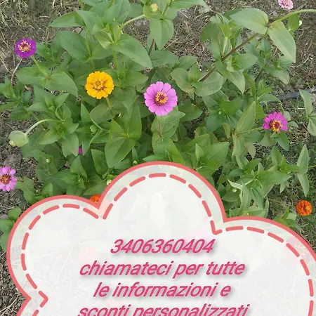 Rosa & Mario Bed and Breakfast SantʼAnna Arresi