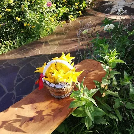 Rosa & Mario SantʼAnna Arresi
